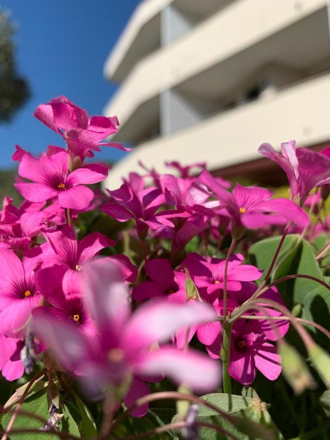 Eurobeach Residence カヴァッリーノ・トレポルティ エクステリア 写真
